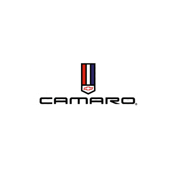 Camaro Convertible Hydraulic Cylinder Rebuild & Upgrade Service