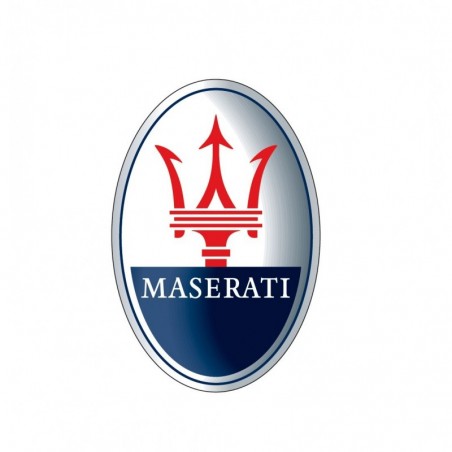 Rebuild/Upgrade Service for '01-'07 Maserati 4200 Spider Top Hydraulic Cylinders